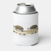 Padloper Tortoise Blikjeskoeler (Blikje Achterkant)