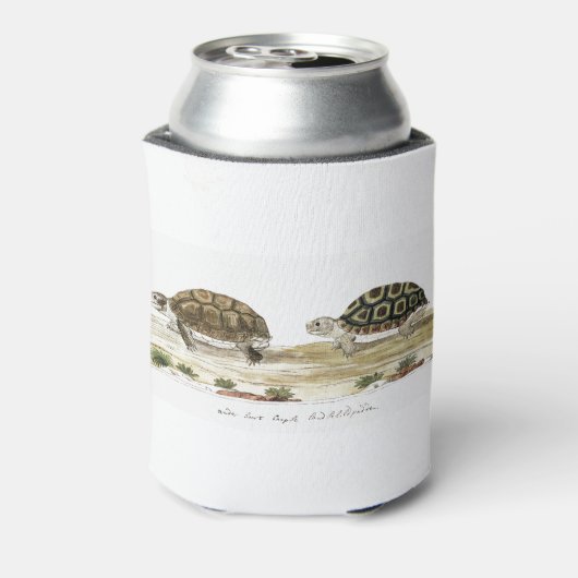 Padloper Tortoise Blikjeskoeler (Blikje Achterkant)