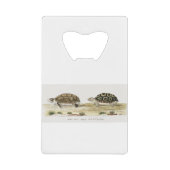 Padloper Tortoise Creditkaart Flessenopener (Voorkant)