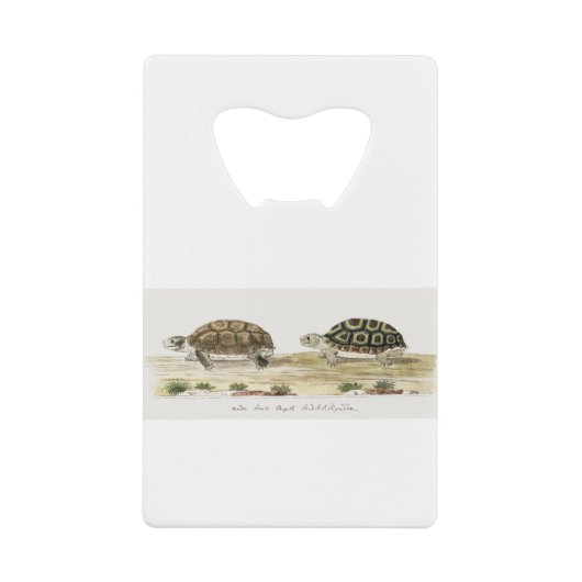 Padloper Tortoise Creditkaart Flessenopener (Voorkant)
