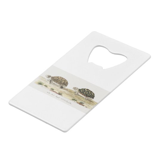 Padloper Tortoise Creditkaart Flessenopener (Achterkant Gekanteld)