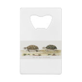 Padloper Tortoise Creditkaart Flessenopener (Achterkant)