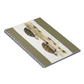 Padloper Tortoise Notitieboek (Rechterzijde)