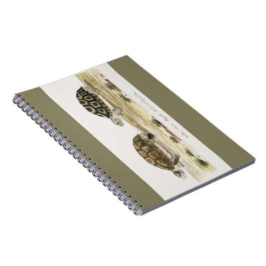 Padloper Tortoise Notitieboek (Rechterzijde)