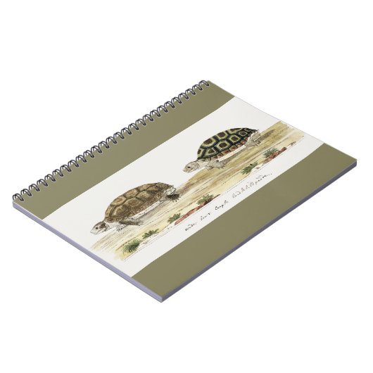 Padloper Tortoise Notitieboek (Linkerzijde)