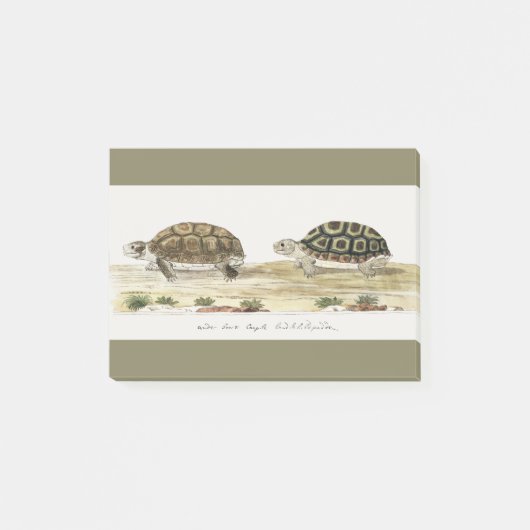 Padloper Tortoise Post-it® Notes (Voorkant)