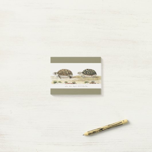 Padloper Tortoise Post-it® Notes (Op bureau)