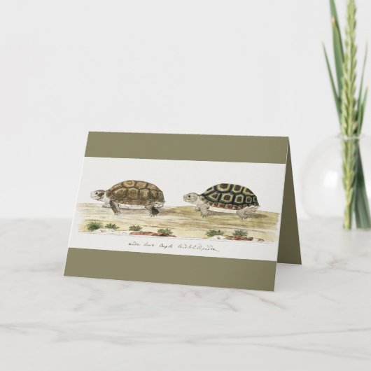 Padloper Tortoise Post-it Notes Kaart (Voorkant)