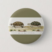 Padloper Tortoise Ronde Button 5,7 Cm (Voorkant)
