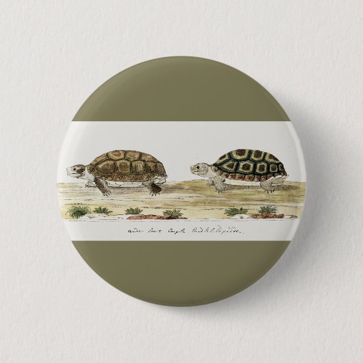 Padloper Tortoise Ronde Button 5,7 Cm (Voorkant)