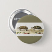 Padloper Tortoise Ronde Button 5,7 Cm (Voorkant /achterkant)