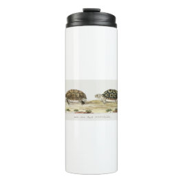 Padloper Tortoise Thermosbeker