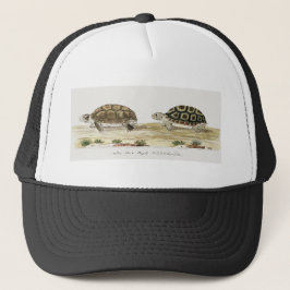 Padloper Tortoise Trucker Pet