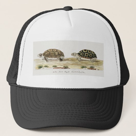 Padloper Tortoise Trucker Pet (Voorkant)