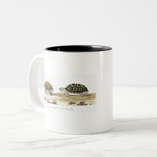 Padloper Tortoise Tweekleurige Koffiemok (Voorkant links)