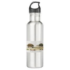 Padloper Tortoise Waterfles