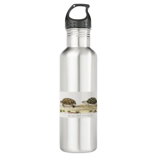 Padloper Tortoise Waterfles (Voorkant)