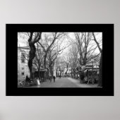 Padova, Italië Poster (Voorkant)