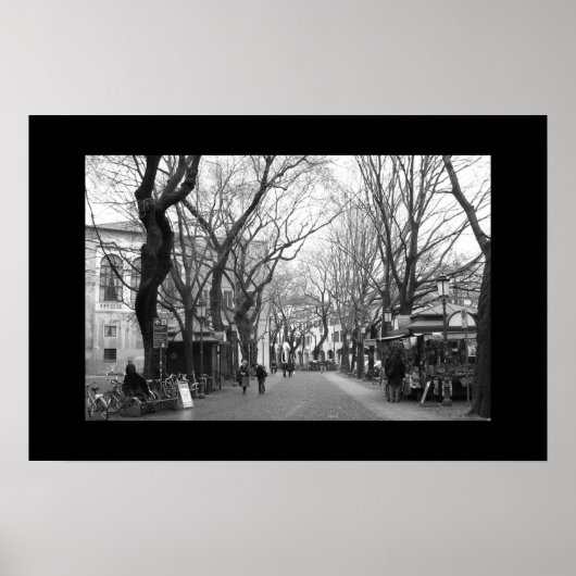 Padova, Italië Poster (Voorkant)