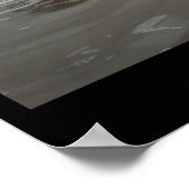 Padre Island - januari 2004 Poster (Hoek)