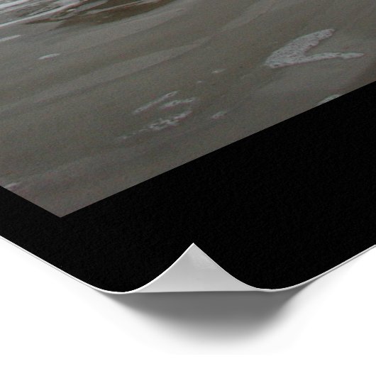 Padre Island - januari 2004 Poster (Hoek)