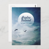 Padre Island National Seashore Brown Pelicans Briefkaart (Voorkant / Achterkant)