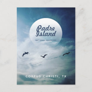 Padre Island National Seashore Brown Pelicans Briefkaart