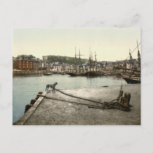 Padstow Quay, Cornwall, England c.1895 Briefkaart (Voorkant)