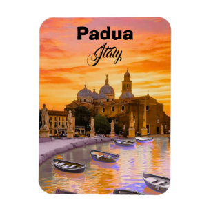 Padua Italië Reisansichtkaart Reis Herinnering C Magneet