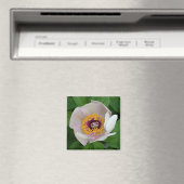 Paeonia Flower Magnet (Insitu (Vaatwasser))