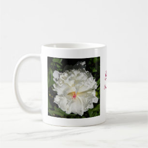 Paeonia lactiflora koffiemok