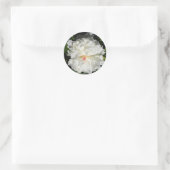 Paeonia lactiflora ronde sticker (Tas)