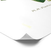 Paeonia moutan (Peony) Poster (Hoek)