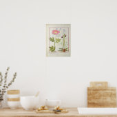 Paeonia of Peony en Orchis myanthos Poster (Keuken)
