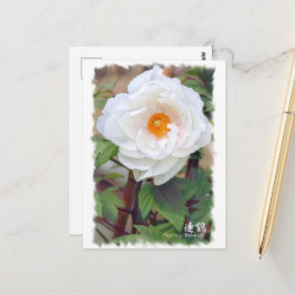 Paeonia "Renkaku" [Briefkaart] ポ ス カ ー ド Briefkaart