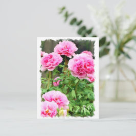 Paeonia "Seidai" (Briefkaart) ポ ス ト カ ー ド Briefkaart