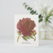Paeonia suffruticosa "diep bloedkleurig moutan" briefkaart (Staand voorkant)