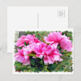 Paeonia "Yachiyo-Tsubaki" [Briefkaart] ポ ス カ ー ド Briefkaart