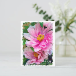 Paeonia "Yachiyo-Tsubaki" [Briefkaart] ポ ス カ ー ド Briefkaart