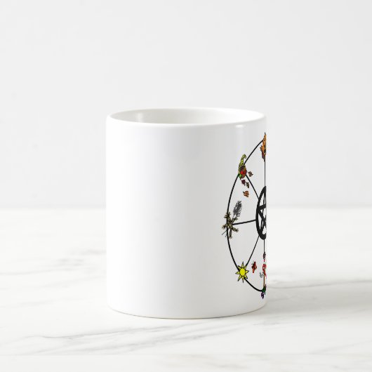 Pagaanwiel van de Mok van het Jaar (Center)