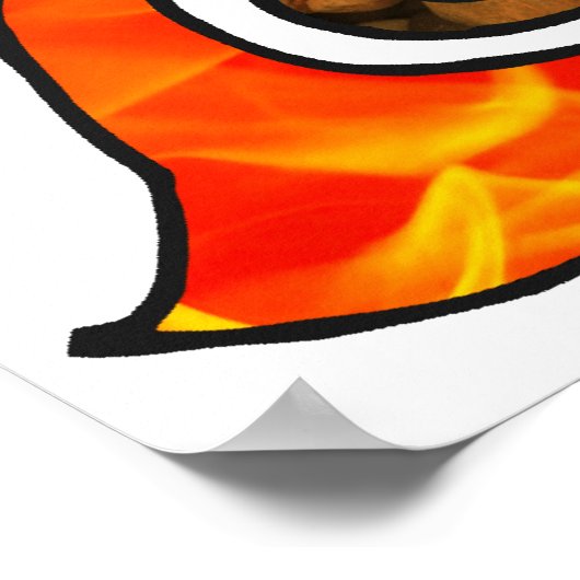 Pagan Celtic Knot Earth Air Fire Water Elements Poster (Hoek)