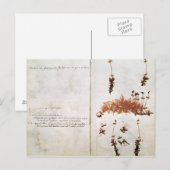Pagina 15 van een Herbarium Briefkaart (Voorkant / Achterkant)