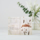 Pagina 15 van een Herbarium Briefkaart (Staand voorkant)