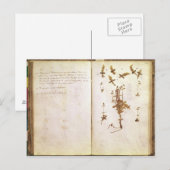 Pagina 24 van een Herbarium Briefkaart (Voorkant / Achterkant)