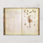 Pagina 24 van een Herbarium Briefkaart (Voorkant)