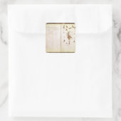 Pagina 24 van een Herbarium Vierkante Sticker (Tas)