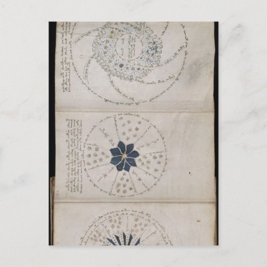 Pagina 68r van het Voynich-manuscript. Deze drie p Briefkaart (Voorkant)