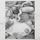 Pagina Kleur van werkblad voor zee Life Seashell I Flyer (Achterkant)