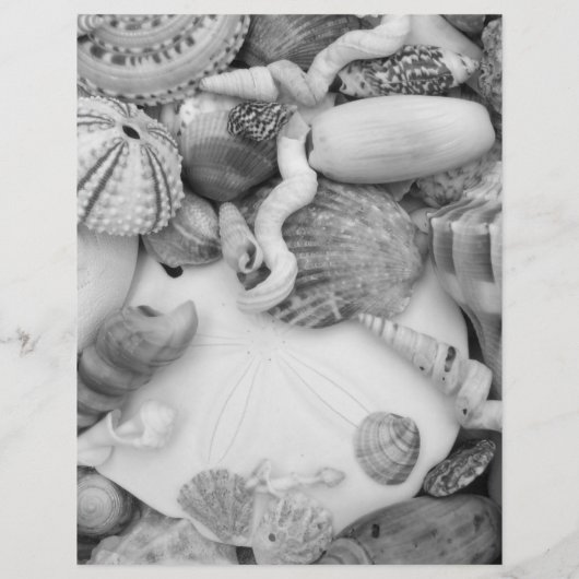 Pagina Kleur van werkblad voor zee Life Seashell I Flyer (Achterkant)