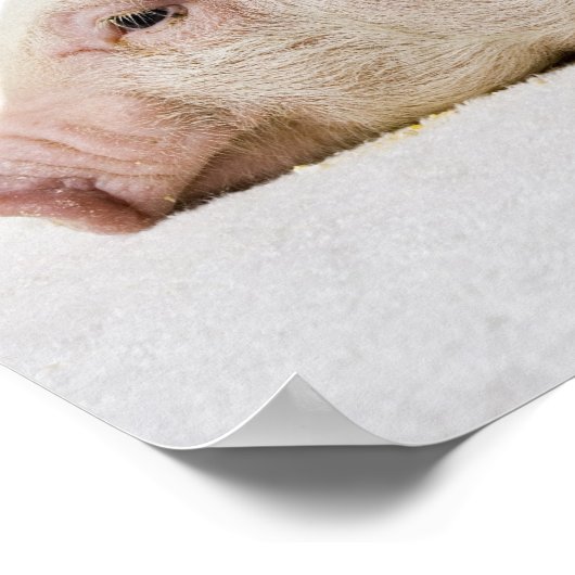 Pagina met onderliggend profiel poster (Hoek)